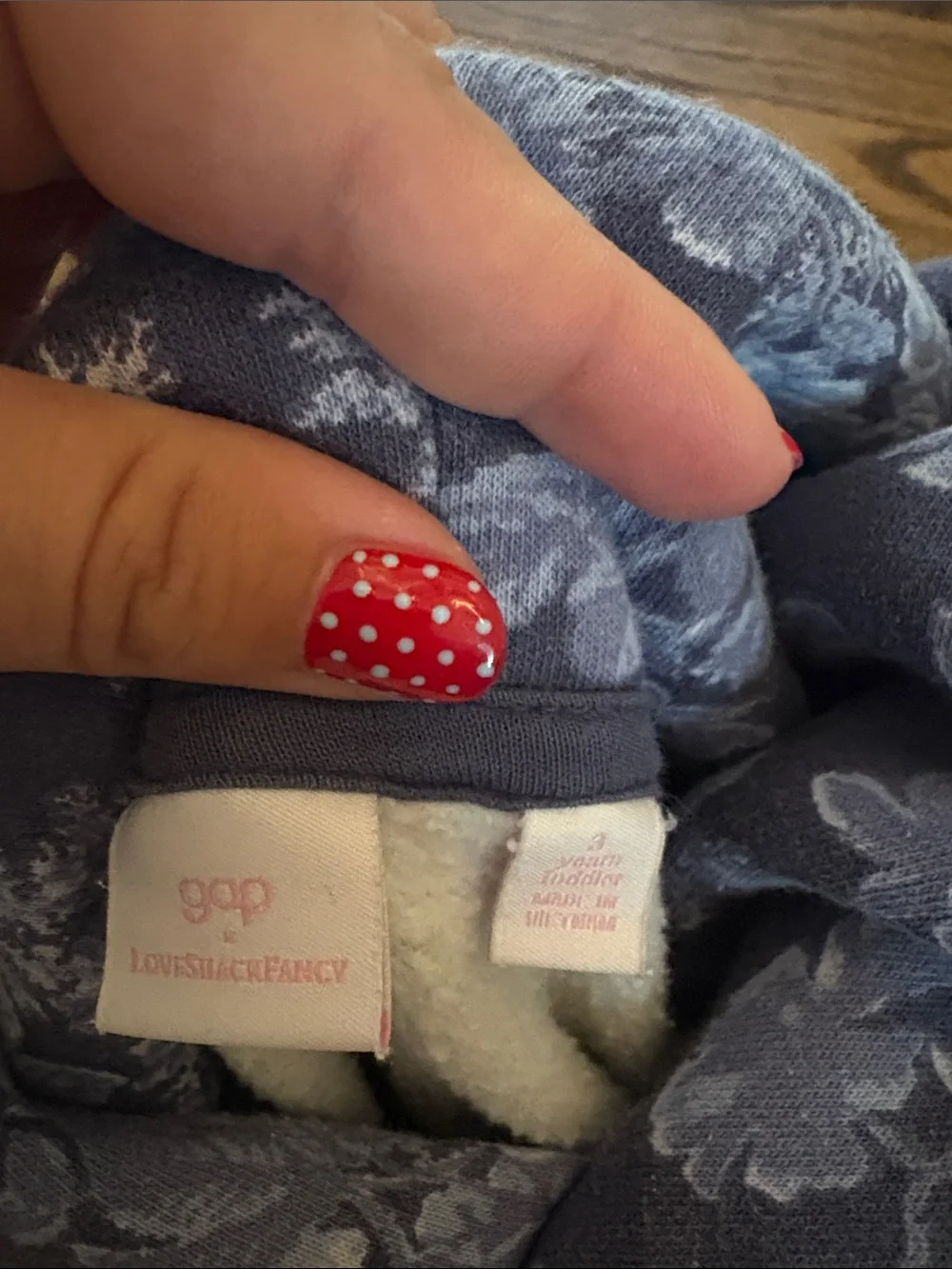Kids Gap × LoveShackFancy Sz 3T Toddler Blue Floral Logo Hoodie read descriptio